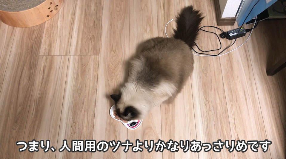 実食！】純缶まぐろ100％まぐろフレークの徹底レビュー！ - ねことぼく